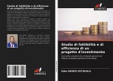 Studio di fattibilità e di efficienza di un progetto d'investimento