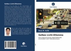 Gelbes Licht-Dilemma - Galib, Reza M.