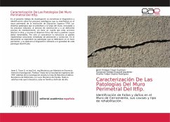 Caracterización De Las Patologías Del Muro Perimetral Del Itfip.