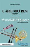 Caro mio ben - Woodwind quintet (parts) (fixed-layout eBook, ePUB)