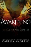 Awakening: Rise as the Fall Unfolds (eBook, ePUB)