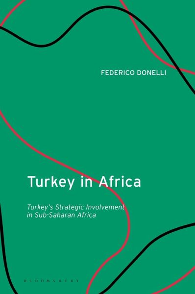 Turkey in Africa (eBook, ePUB)