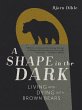 A Shape in the Dark (eBook, ePUB) - Bild 1
