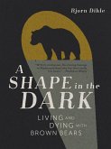 A Shape in the Dark (eBook, ePUB)