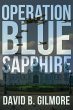 Operation Blue Sapphire (eBook, ePUB) - Bild 1