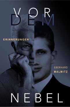 Vor dem Nebel (eBook, ePUB) - Malwitz, Eberhard