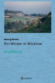 Ein Winter in Wicklow (eBook, ePUB)