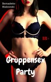 Gruppensex Party (eBook, ePUB)