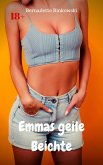 Emmas geile Beichte (eBook, ePUB)