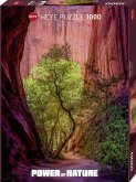 Singing Canyon Puzzle