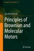 Principles of Brownian and Molecular Motors (eBook, PDF)