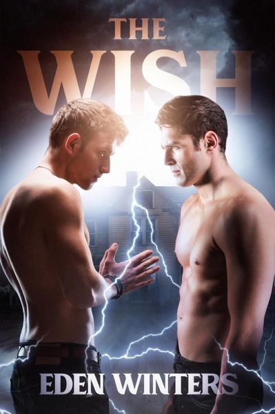 The Wish (eBook, ePUB)