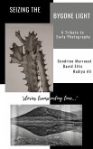 Seizing the Bygone Light: A Tribute to Early Photography (eBook, ePUB) Seizing the Bygone Light: A Tribute to Early Photography (eBook, ePUB)
