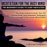 Meditation for The Busy Mind: The... - Bild 1