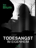 Todesangst im Eigenheim (eBook, ePUB)