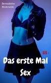 Das erste Mal Sex (eBook, ePUB)