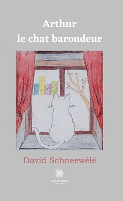 Arthur le chat baroudeur (eBook, ePUB) - Schneewélé, David