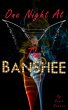 One Night At The Banshee (eBook, ePUB) - Bild 1