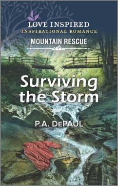 Surviving the Storm (eBook, ePUB) - Depaul, P. A.