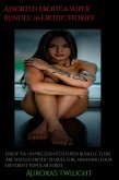 Assorted Erotica Bundle Package: 16 Erotic Stories (eBook, ePUB) Assorted Erotica Bundle Package: 16 Erotic Stories (eBook, ePUB)