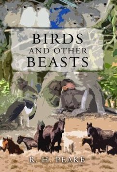 Cover Birds and Other Beast (eBook, ePUB)
