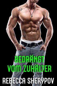 Bedrängt vom Zuhälter (eBook, ePUB) - Sherypov, Rebecca