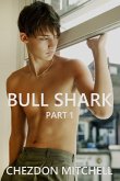Bull Shark Part 1