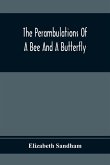 The Perambulations Of A Bee And A Butterfly