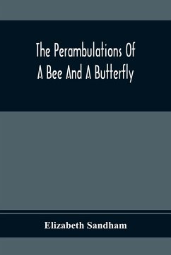 The Perambulations Of A Bee And A Butterfly - Sandham, Elizabeth