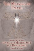 The Meaning of Death: Understanding Death, Experiencing Death and Dying Well