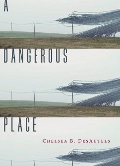 A Dangerous Place - Desautels, Chelsea B