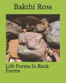 Life Forms In Rock Forms