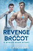 Revenge of the Brobot: A Steam Room Story