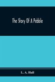 The Story Of A Pebble