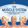 The Muscle System   The Amazing Human... - Bild 1