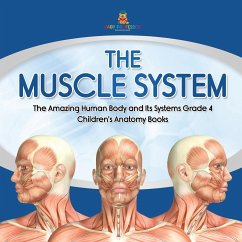 The Muscle System   The Amazing Human Body and Its Systems Grade 4   Children's Anatomy Books - Baby