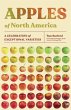 Apples of North America - Bild 1