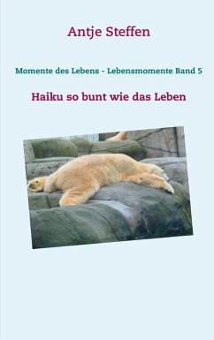 Momente des Lebens - Lebensmomente Band 5 - Steffen, Antje