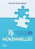 Is Mükemmelligi