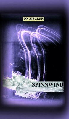 SPINNWIND (eBook, ePUB) - Ziegler, Jo
