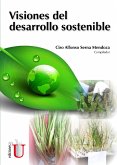 Visiones del desarrollo sostenible (eBook, PDF)