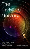 The Invisible Universe (eBook, ePUB)