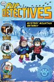 Mystery Mountain Getaway (eBook, ePUB)