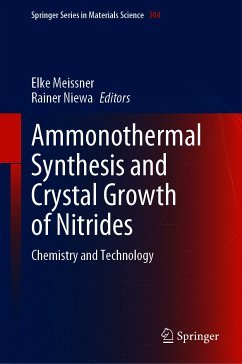 Ammonothermal Synthesis and Crystal Growth of Nitrides (eBook, PDF)