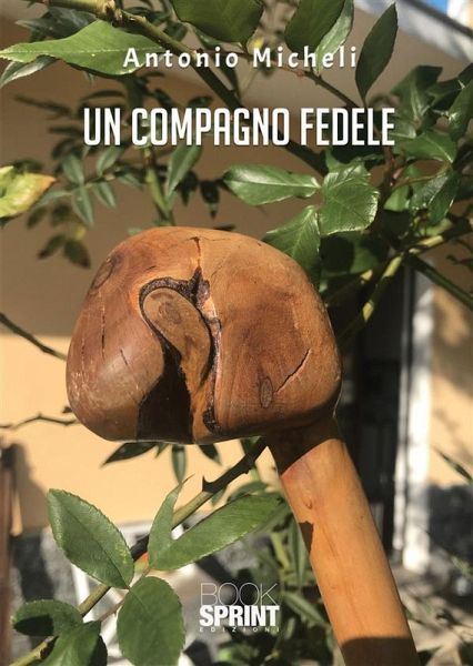 Un compagno fedele (eBook, ePUB) Un compagno fedele (eBook, ePUB)