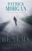 Realms (eBook, ePUB)