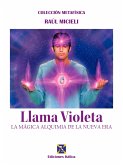 Llama Violeta (eBook, ePUB)