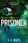 Prisoner (eBook, ePUB)