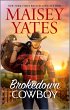 Brokedown Cowboy (eBook, ePUB) - Bild 1