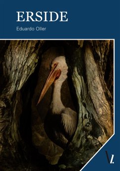 Cover Erside (eBook, ePUB)